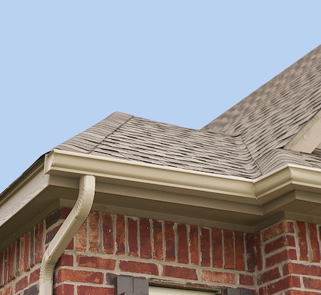 Roof Cleaning for Black Streaks: What Causes Them and How to Prevent Them